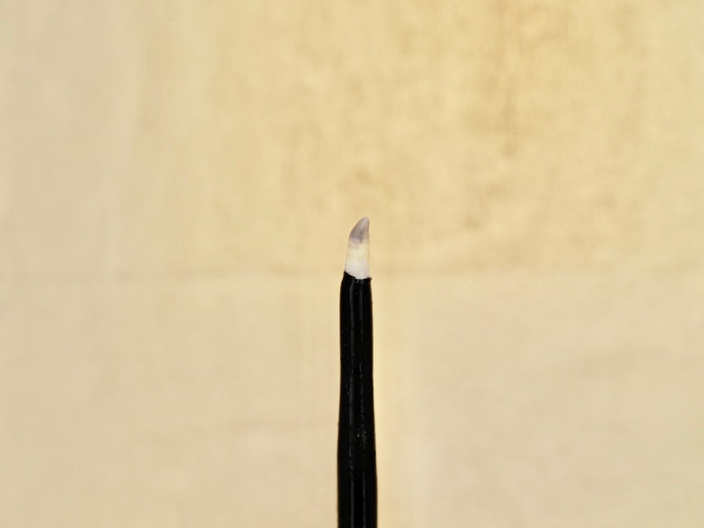 Traditional Bream Tooth Polishing (Burnishing) Tool