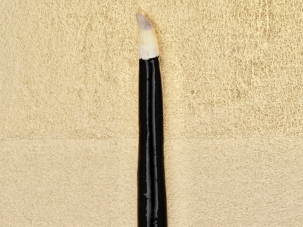 Traditional Bream Tooth Polishing (Burnishing) Tool