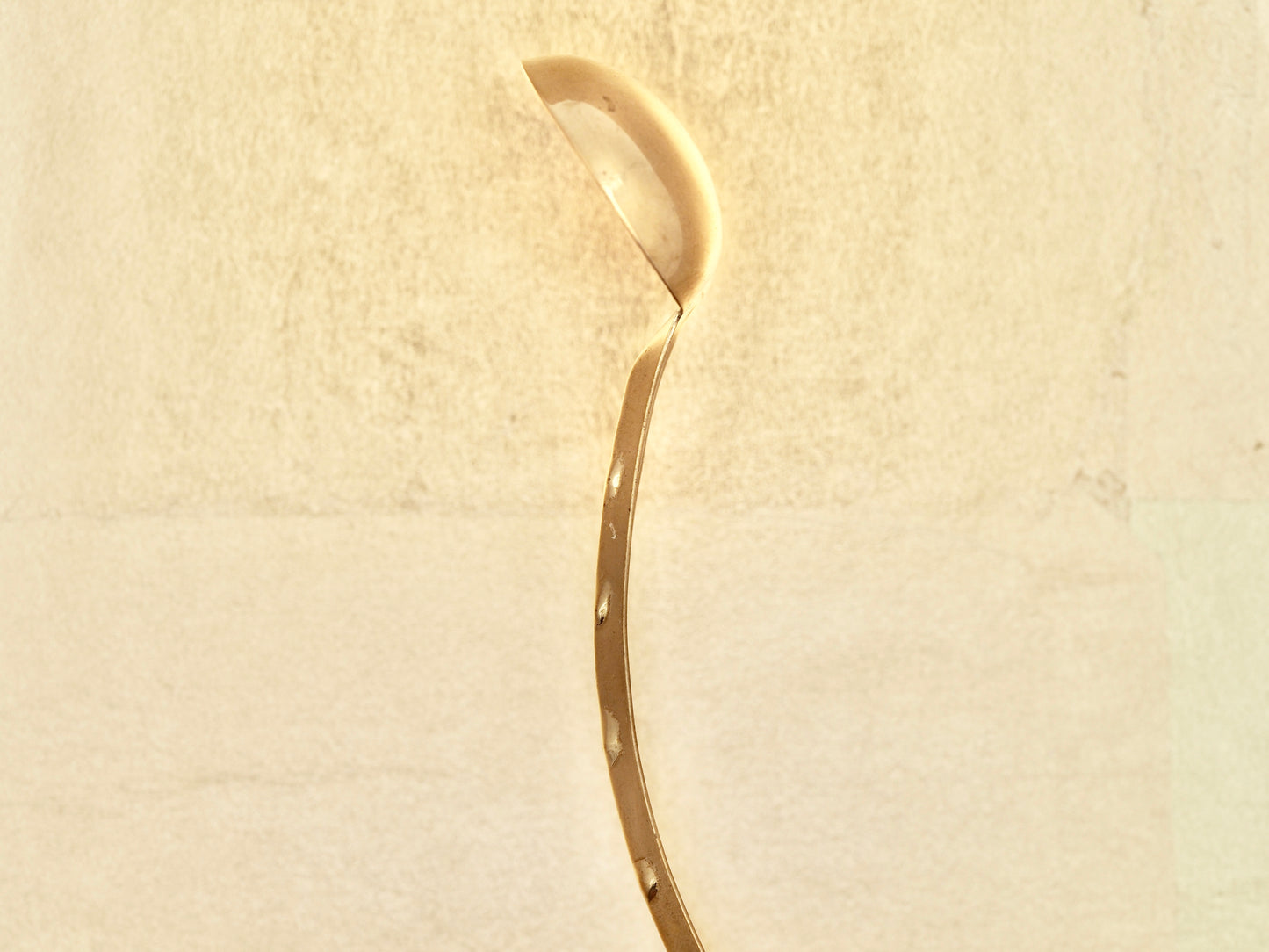 Mizusaji (Glue Spoon): A Ornate-crafted Spoon For Water & Glue