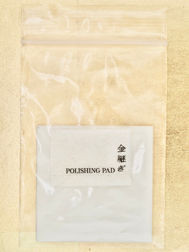 Delicate Cleaning & Polishing Pads (2)