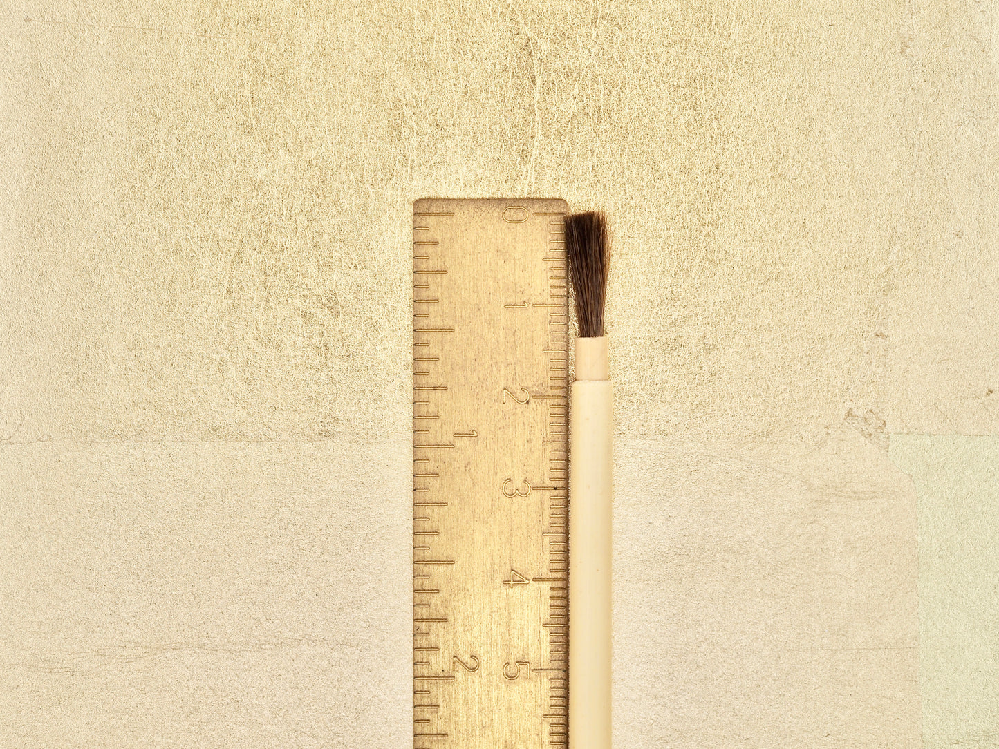 Ashirai-kebo - Very Small