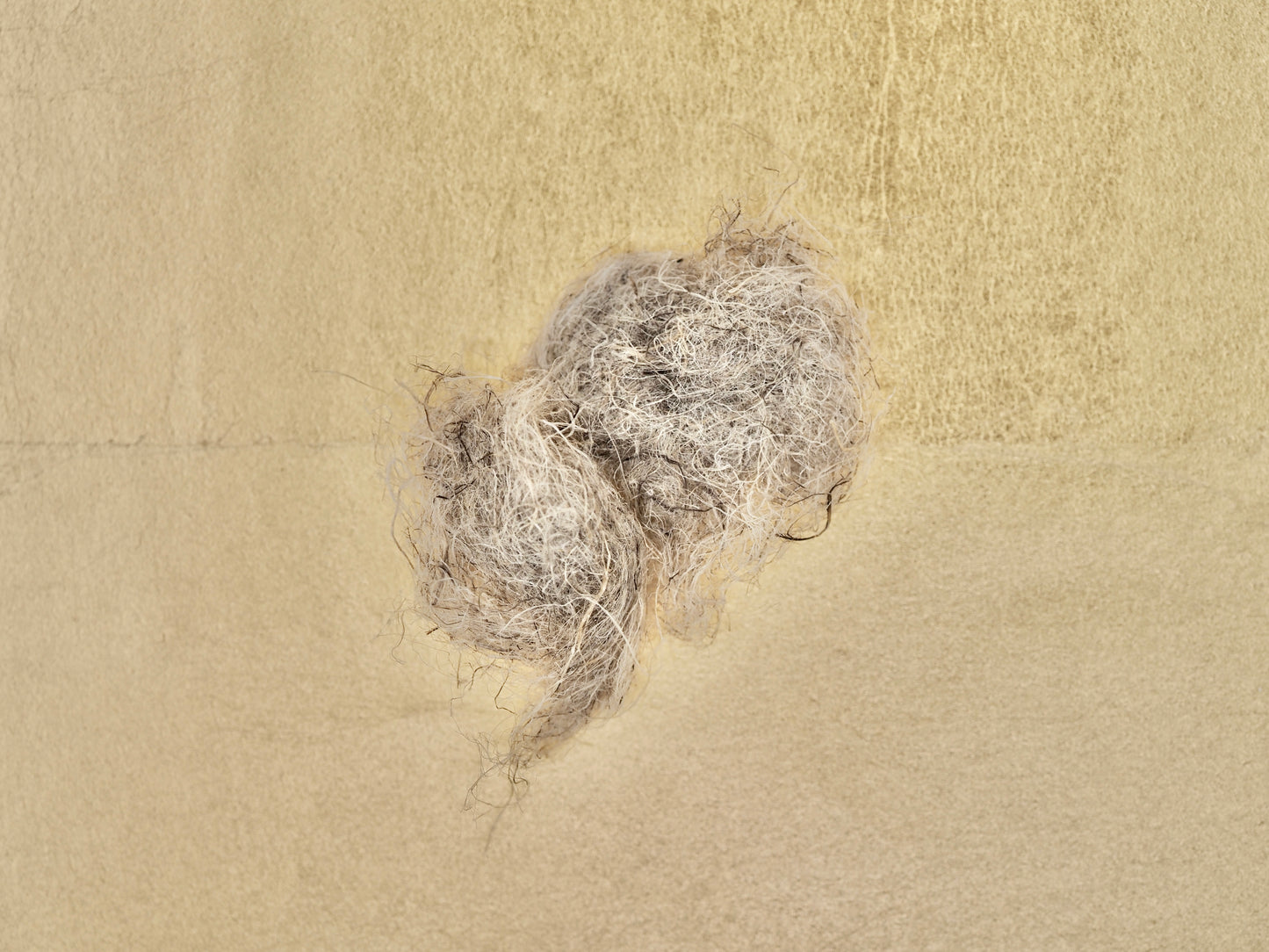 Japanese Flax/Hemp Fibers