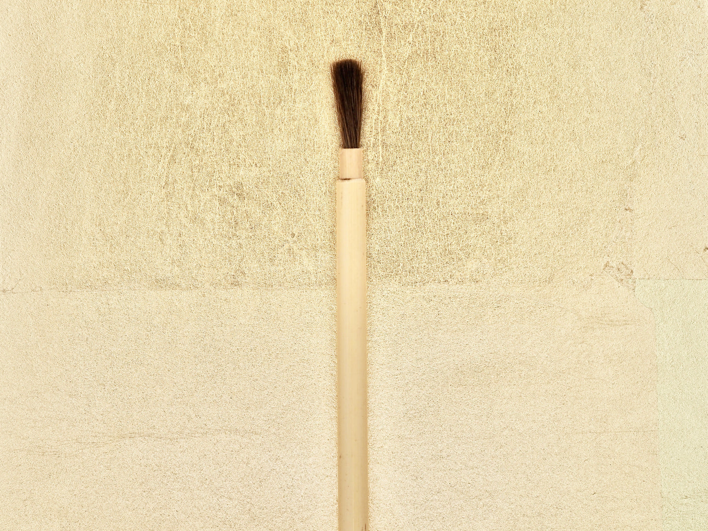 Ashirai-kebo - Very Small