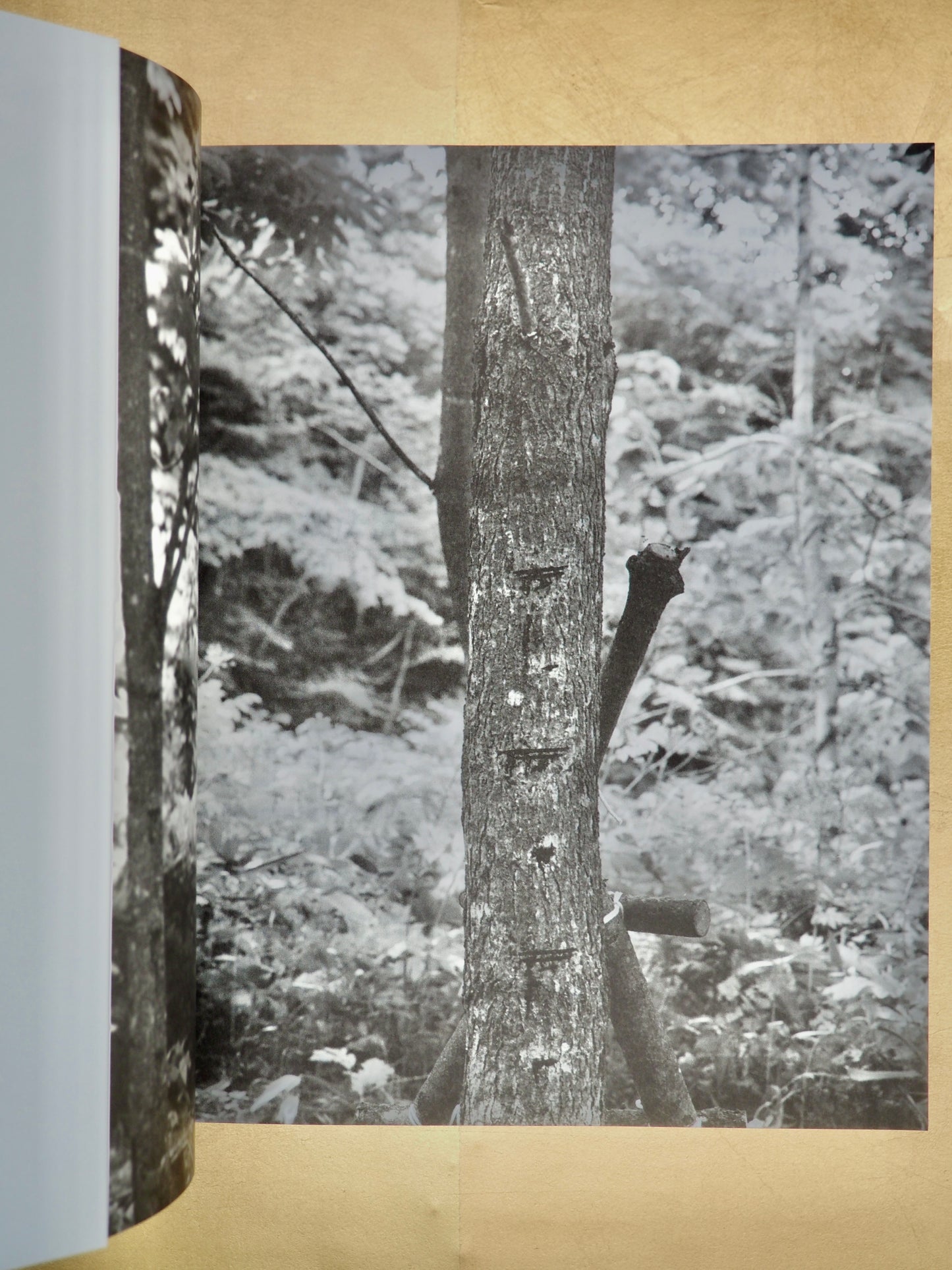 Kintsugi Technique Book - A guidebook on Kintsugi (Japanese language only) - thoroughly illustrated with many photographs.