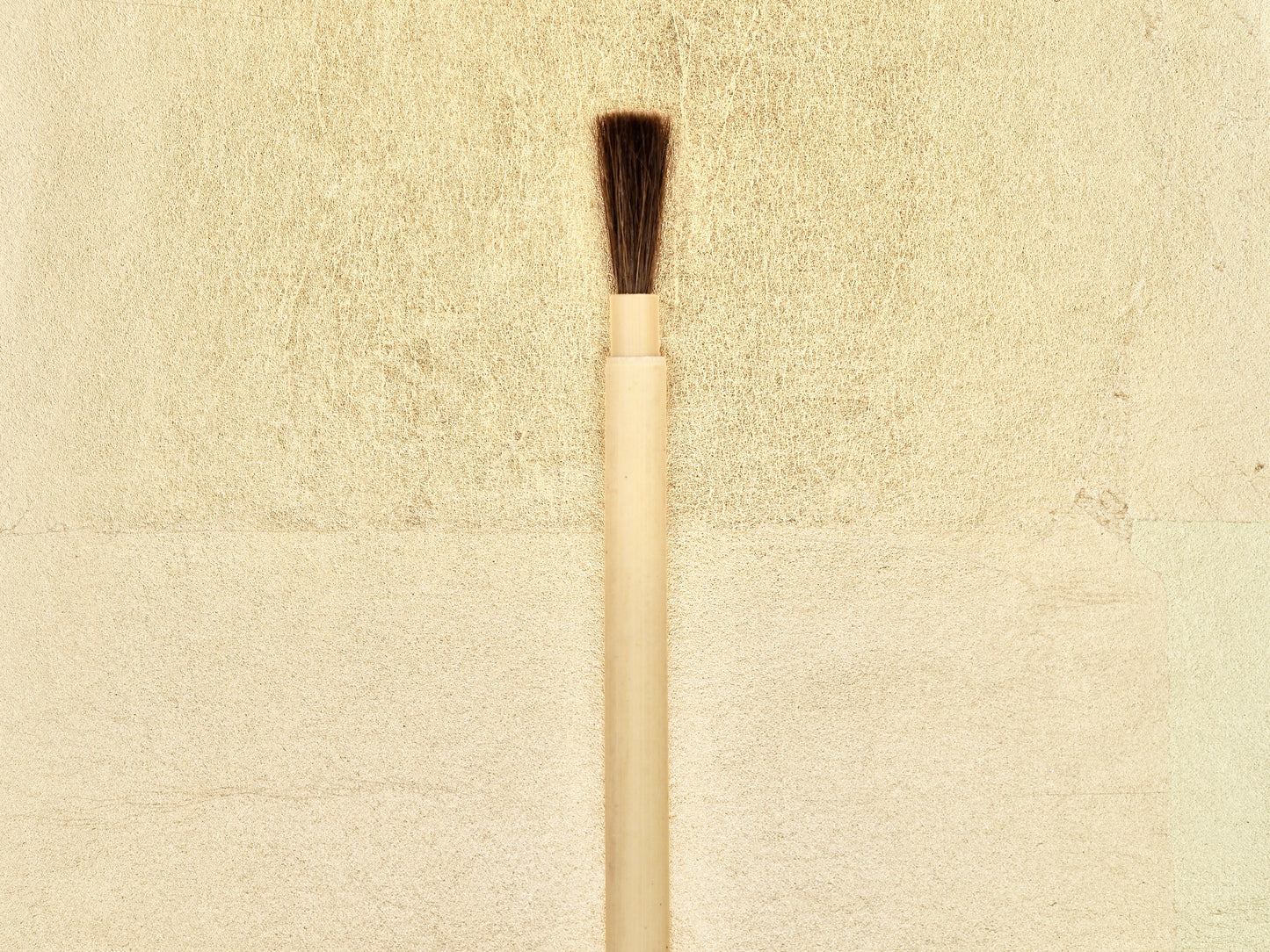 Ashirai-kebo - Small