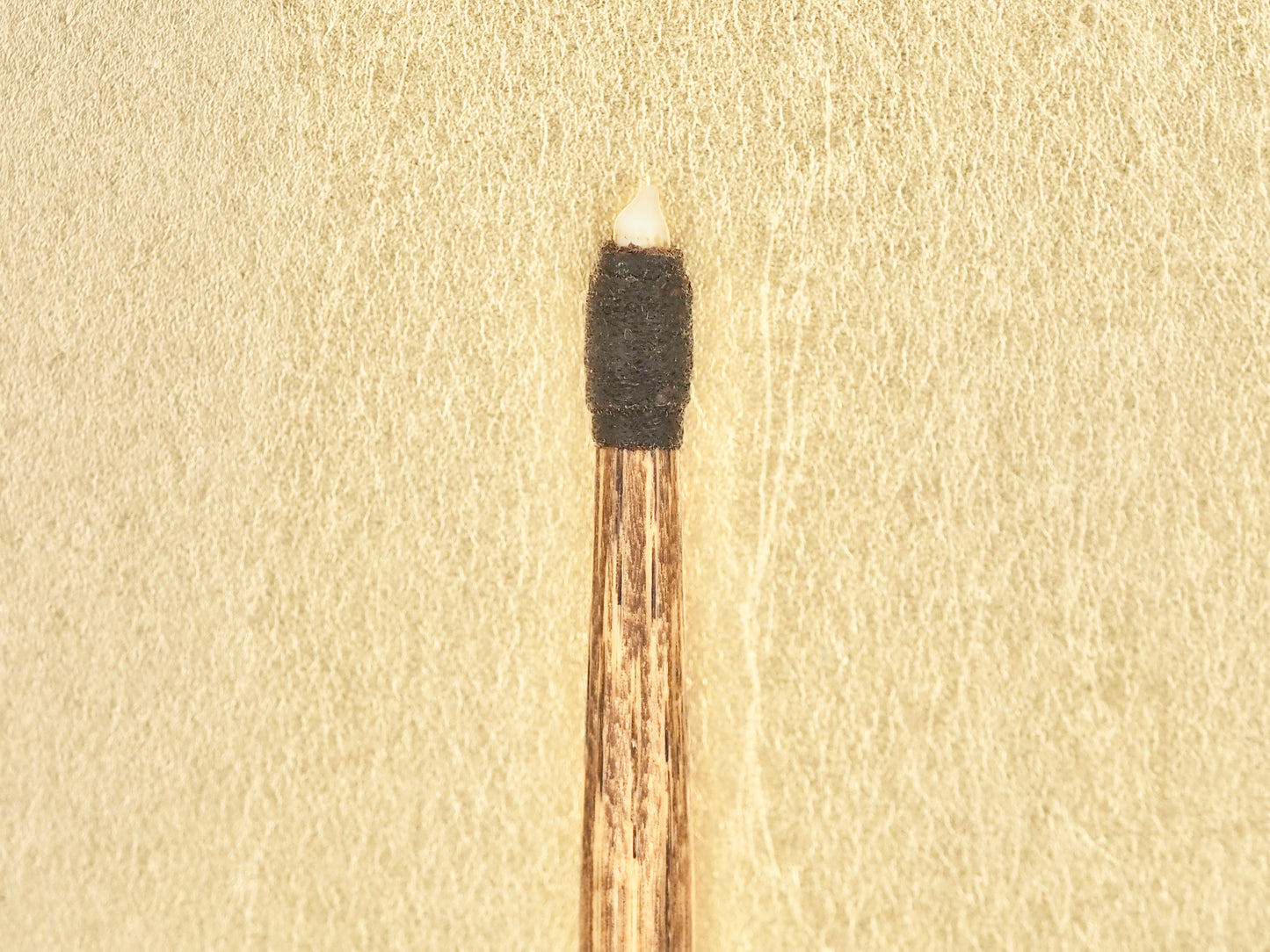 Tai-ki Bo - Traditional Sea Bream Tooth Polishing (Burnishing) Tool (Short Tooth)