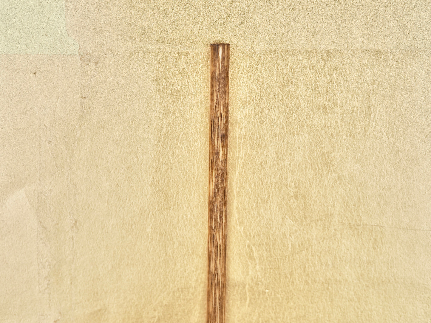 Tai-ki Bo - Traditional Sea Bream Tooth Polishing (Burnishing) Tool (Short Tooth)