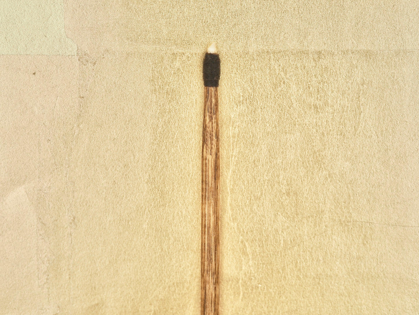 Tai-ki Bo - Traditional Sea Bream Tooth Polishing (Burnishing) Tool (Short Tooth)