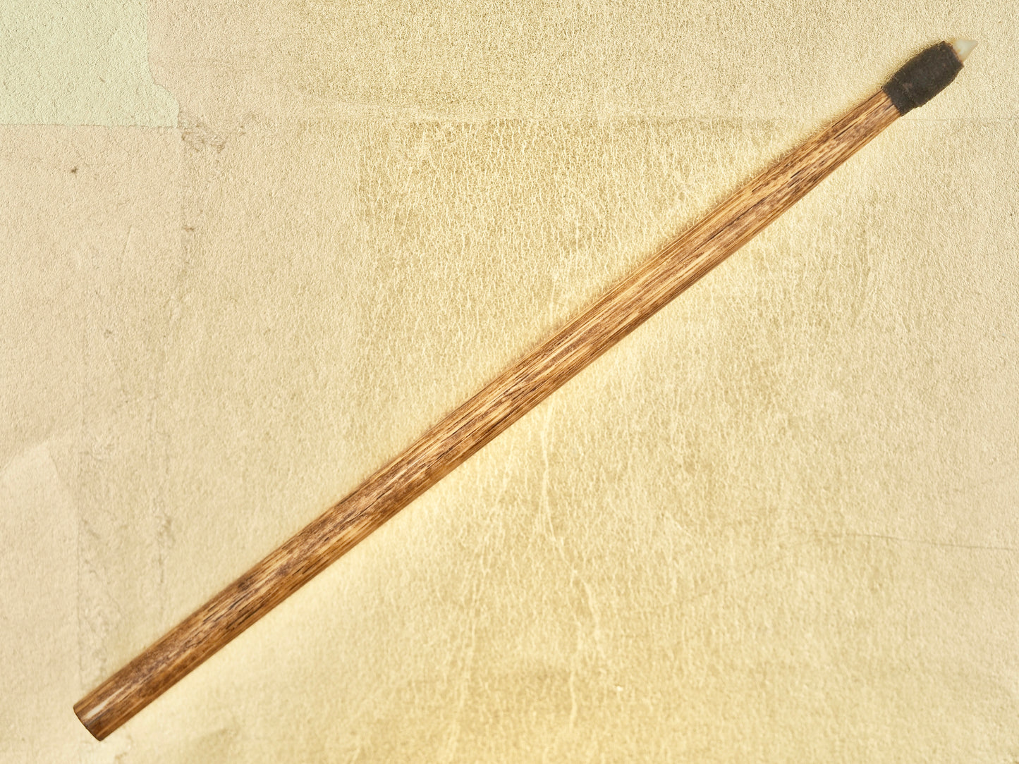 Tai-ki Bo - Traditional Sea Bream Tooth Polishing (Burnishing) Tool (Short Tooth)